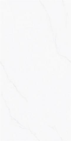 JVA26P0173 -2